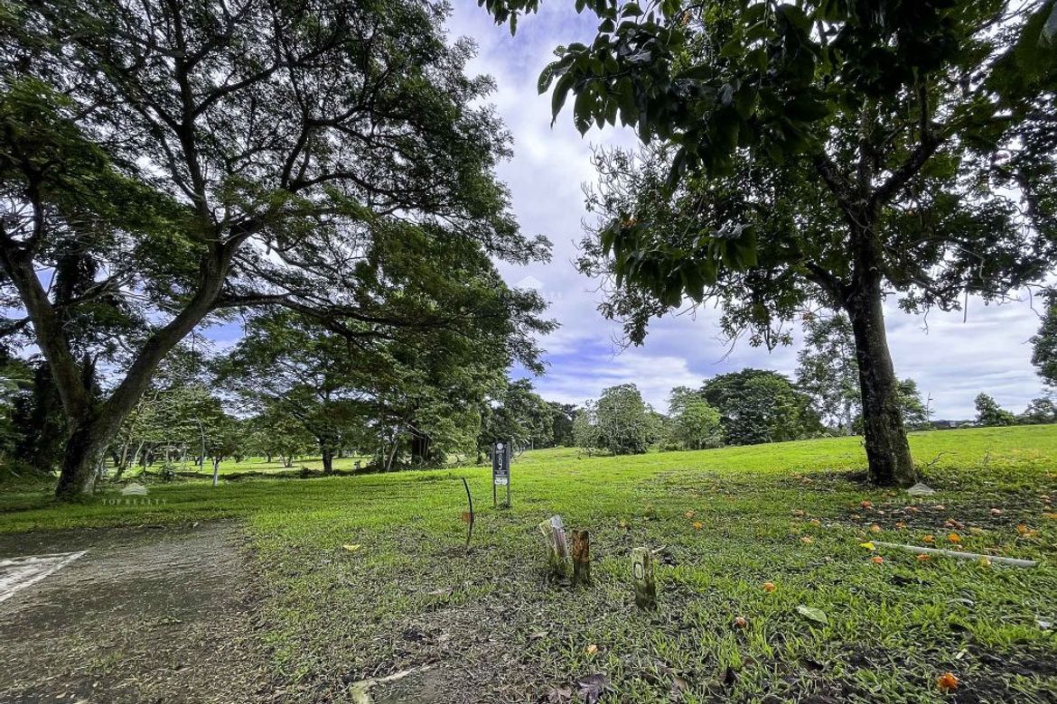 Land for Sale in Canlubang, Calamba, Laguna – photo 6