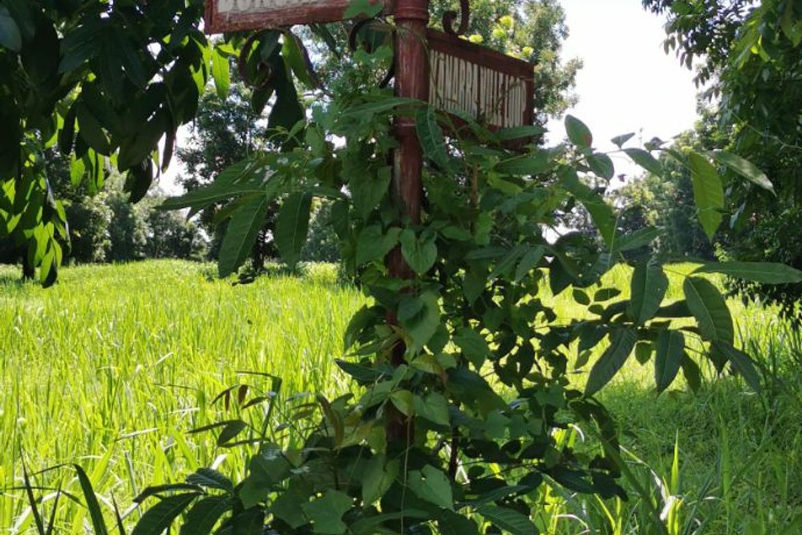 Land for Sale in Canlubang, Calamba, Laguna