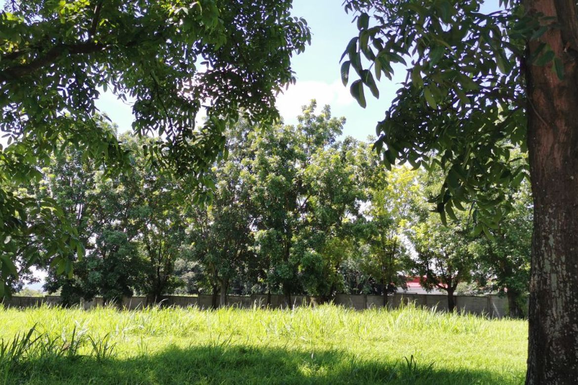 Land for Sale in Canlubang, Calamba, Laguna – photo 4