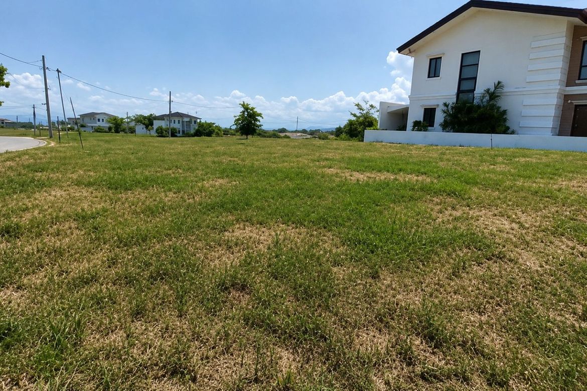 Land for Sale in Canlubang, Calamba, Laguna – photo 2