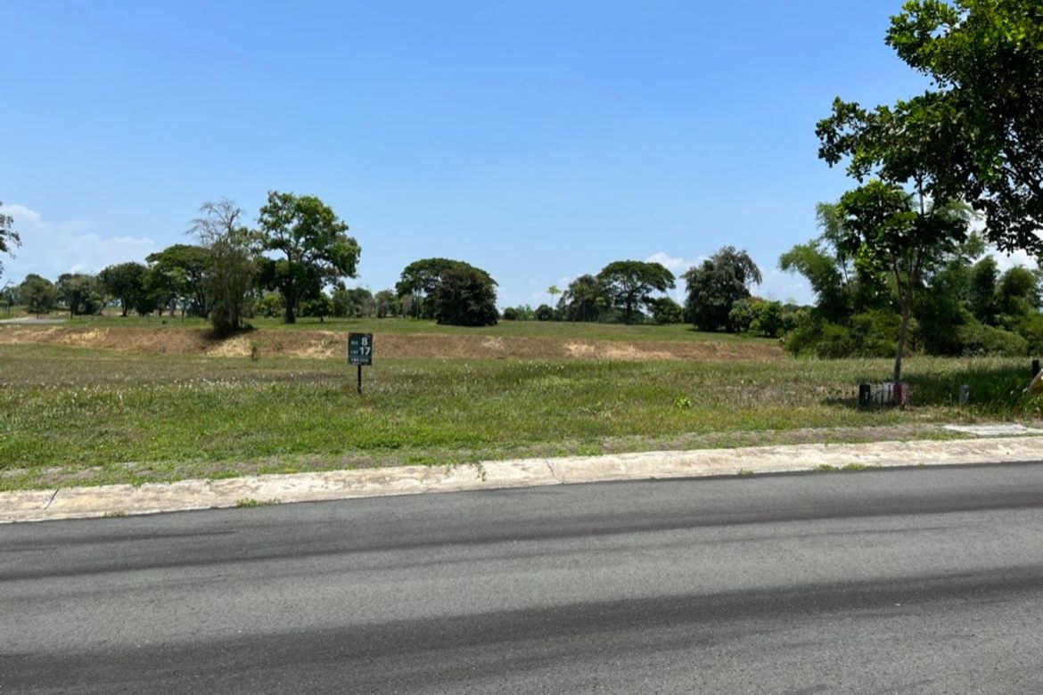 Land for Sale in Canlubang, Calamba, Laguna – photo 2