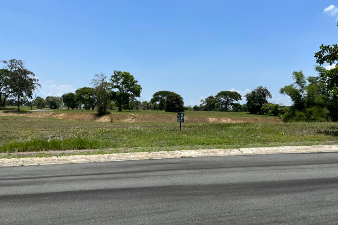 Land for Sale in Canlubang, Calamba, Laguna – photo 3