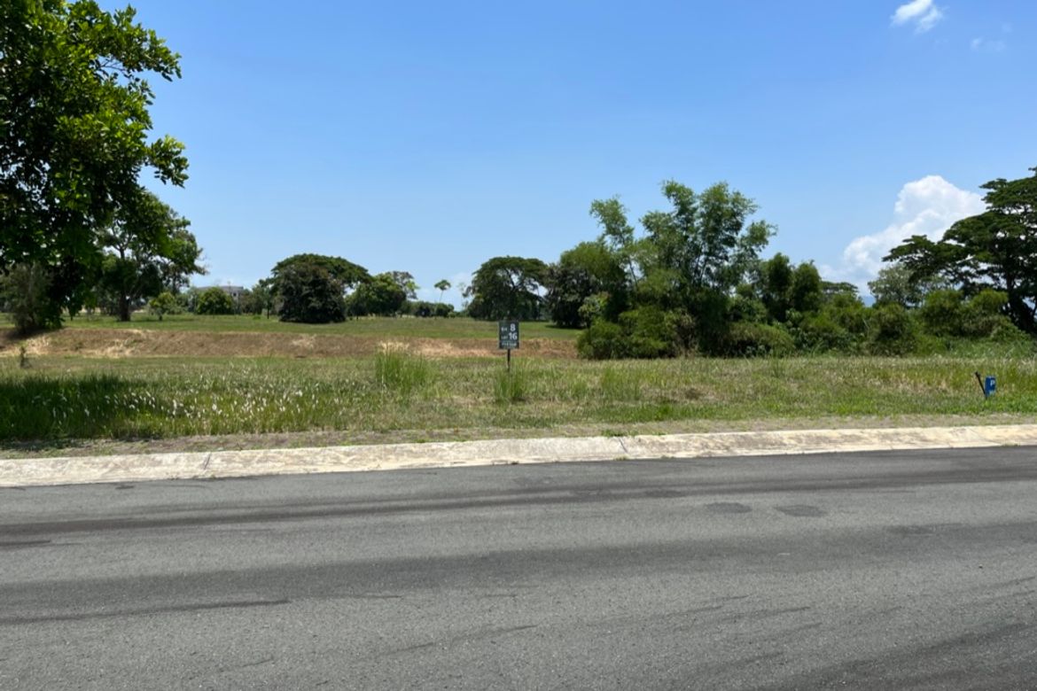 Land for Sale in Canlubang, Calamba, Laguna – photo 4