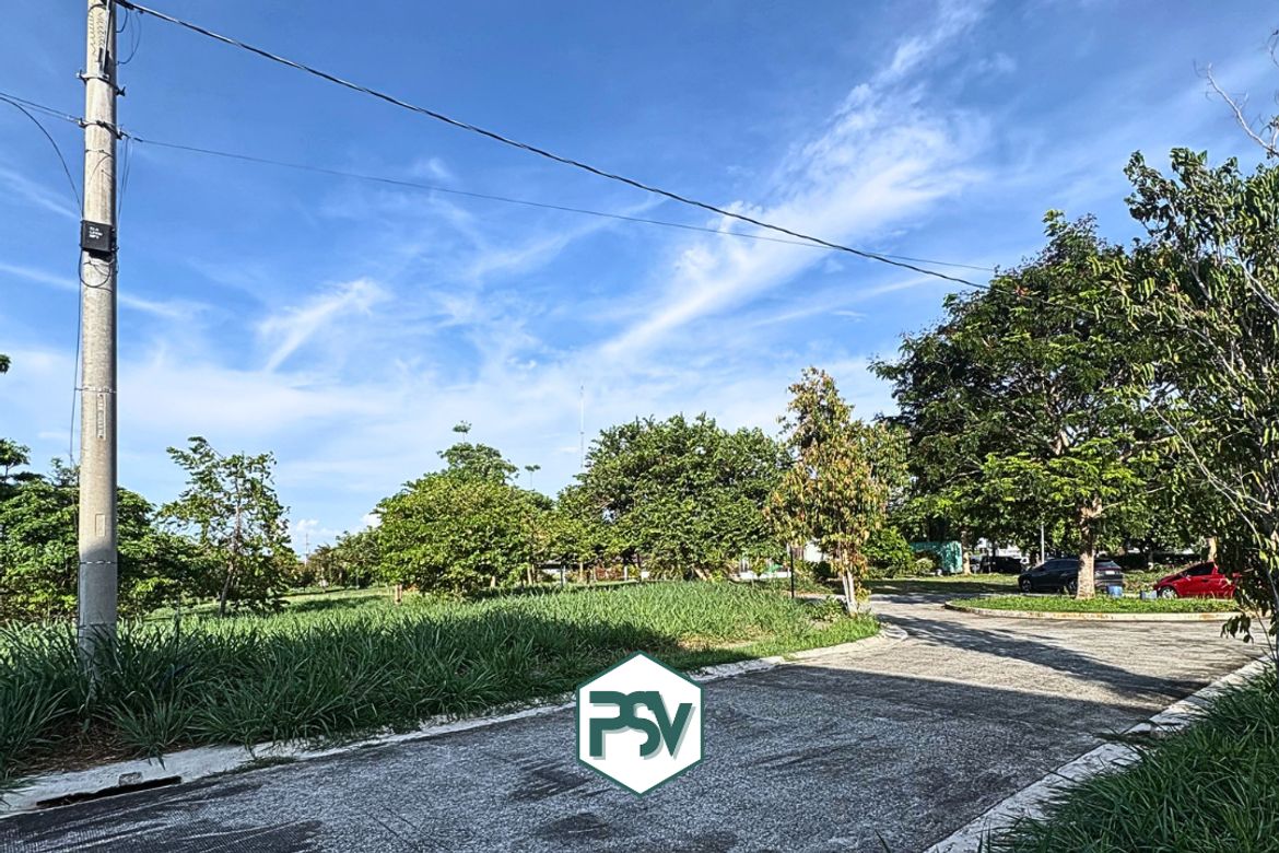Land for Sale in Canlubang, Calamba, Laguna – photo 4