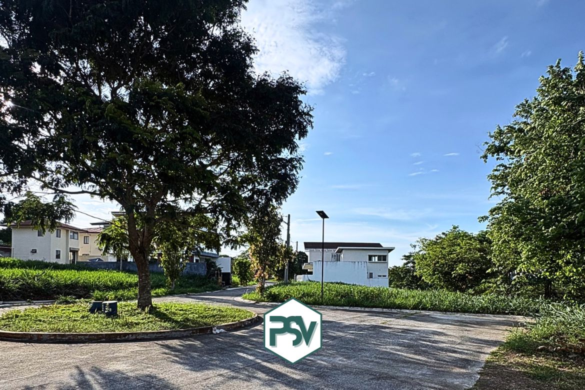 Land for Sale in Canlubang, Calamba, Laguna – photo 5