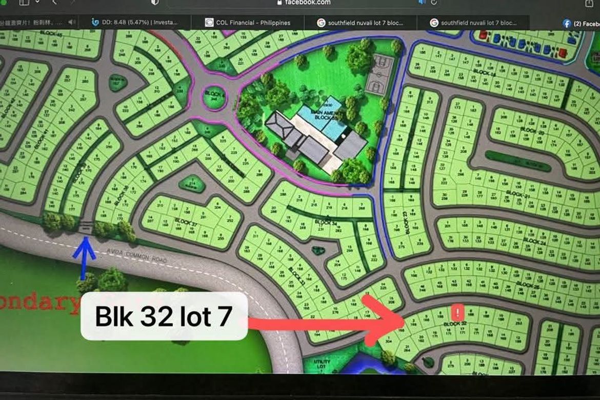 Land for Sale in Canlubang, Calamba, Laguna – photo 6