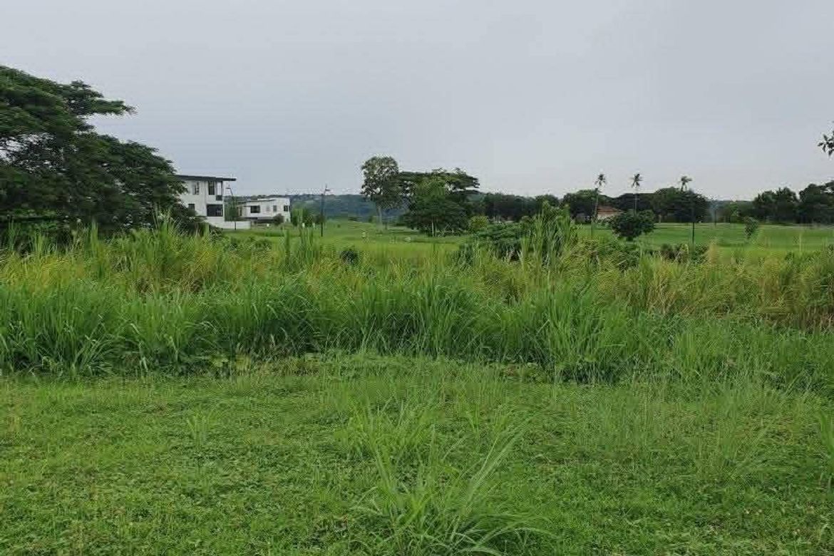 Land for Sale in Canlubang, Calamba, Laguna – photo 5