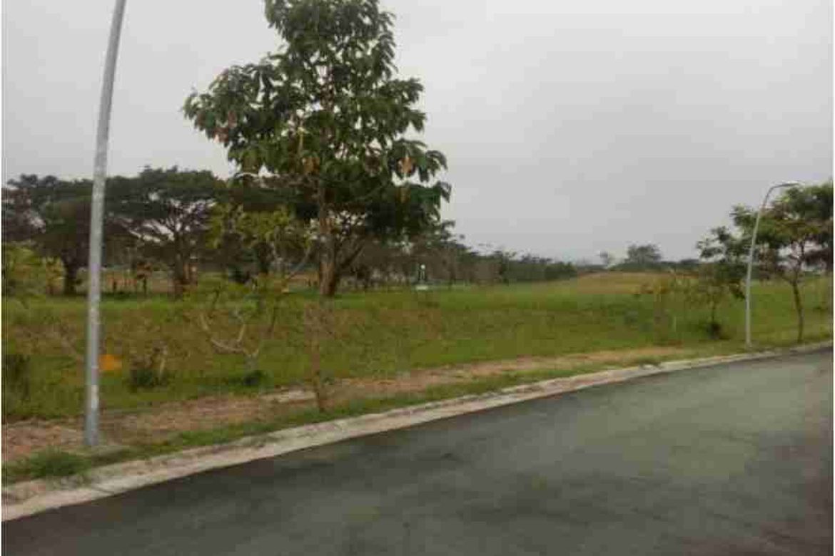 Land for Sale in Canlubang, Calamba, Laguna