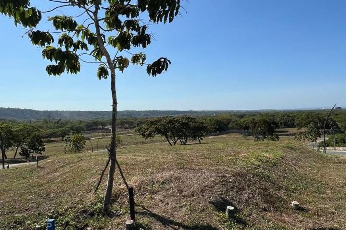 Land for Sale in Canlubang, Calamba, Laguna – photo 3