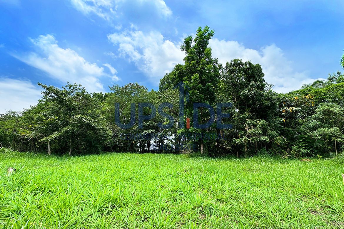 Land for Sale in Canlubang, Calamba, Laguna – photo 4