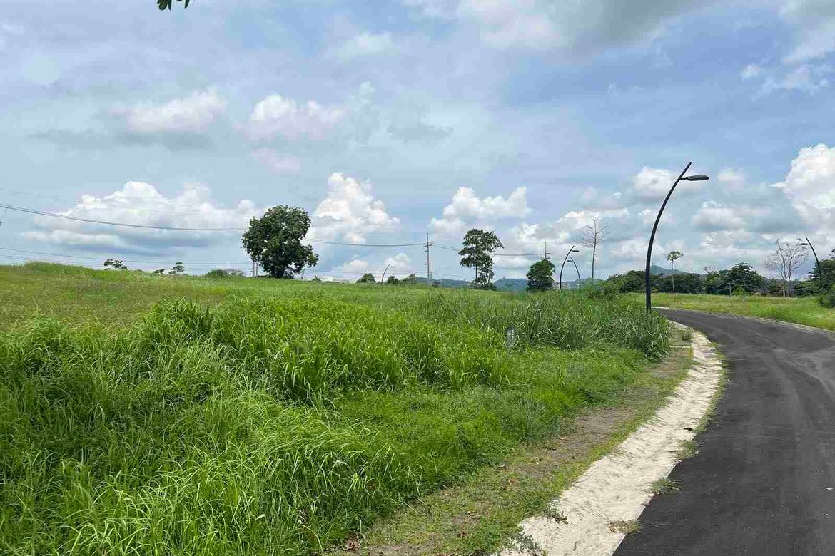 Land for Sale in Canlubang, Calamba, Laguna – photo 2