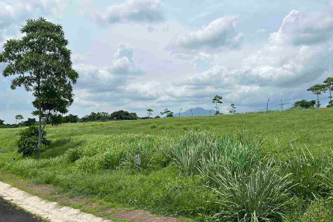 Land for Sale in Canlubang, Calamba, Laguna – photo 4