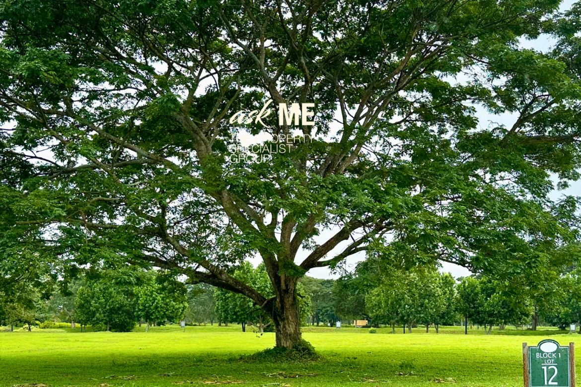 Land for Sale in Canlubang, Calamba, Laguna – photo 4