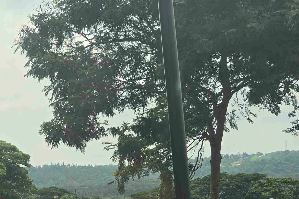 Land for Sale in Canlubang, Calamba, Laguna – photo 3