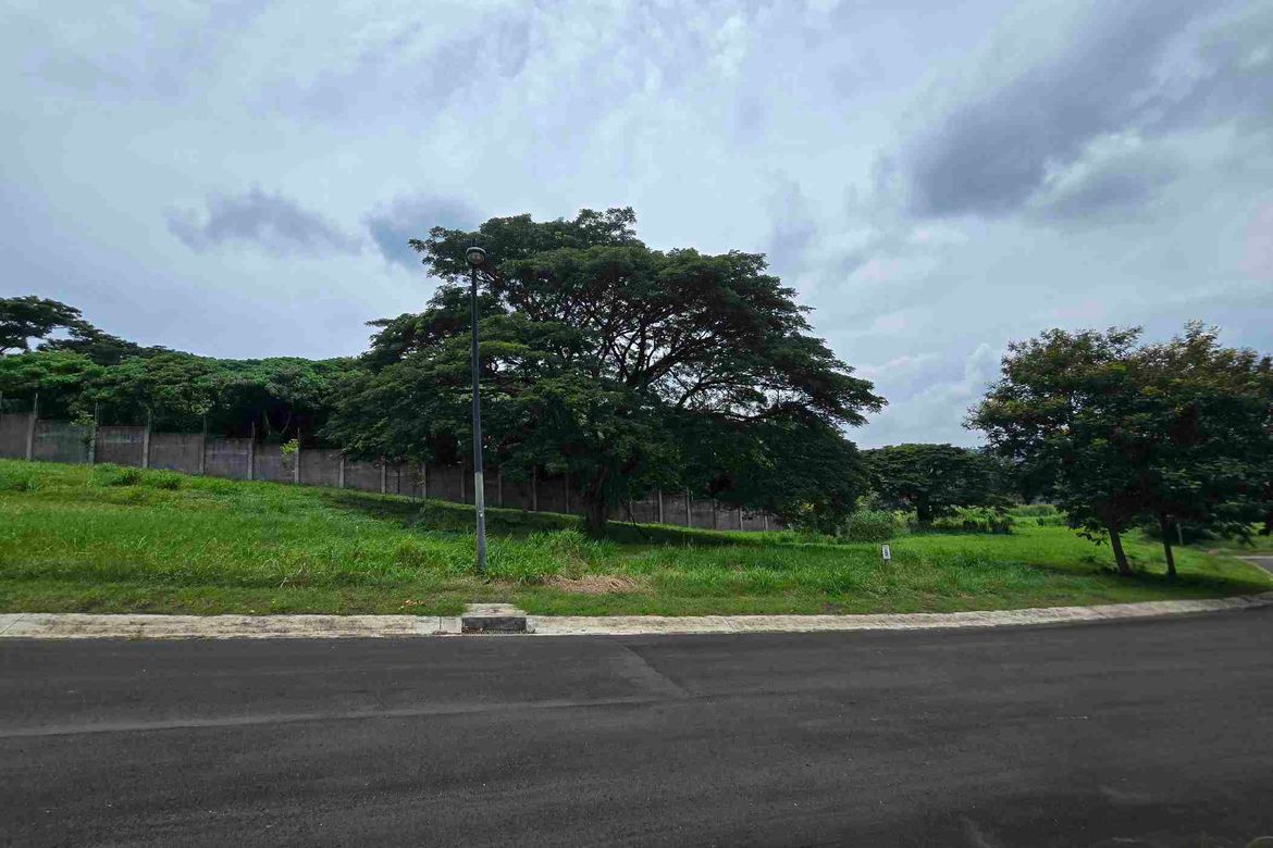 Land for Sale in Canlubang, Calamba, Laguna – photo 4