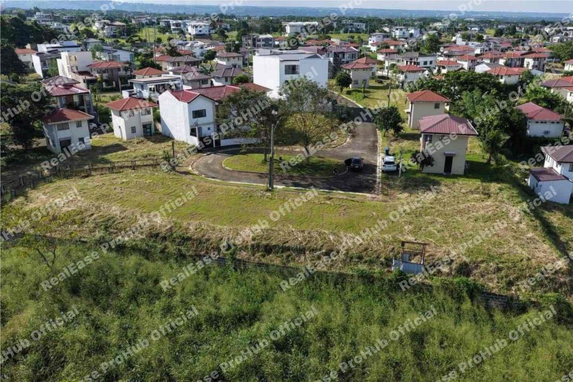Land for Sale in Canlubang, Calamba, Laguna – photo 3