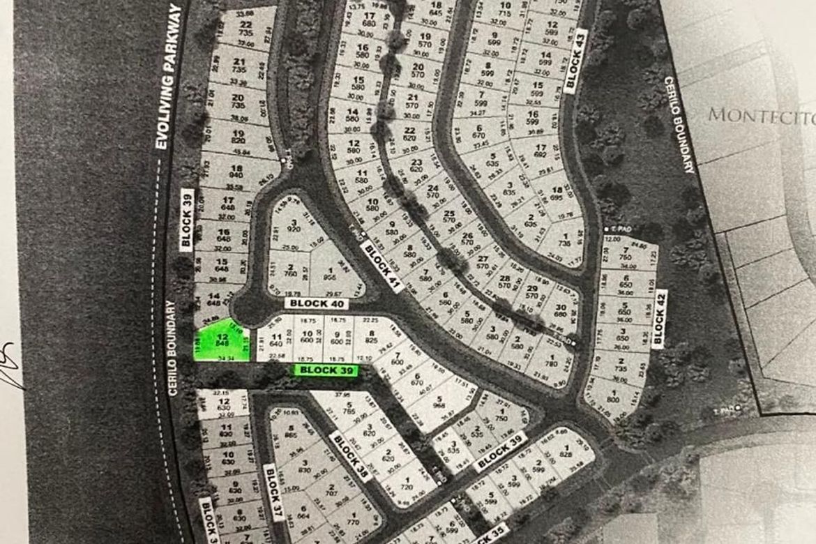Land for Sale in Canlubang, Calamba, Laguna – photo 3
