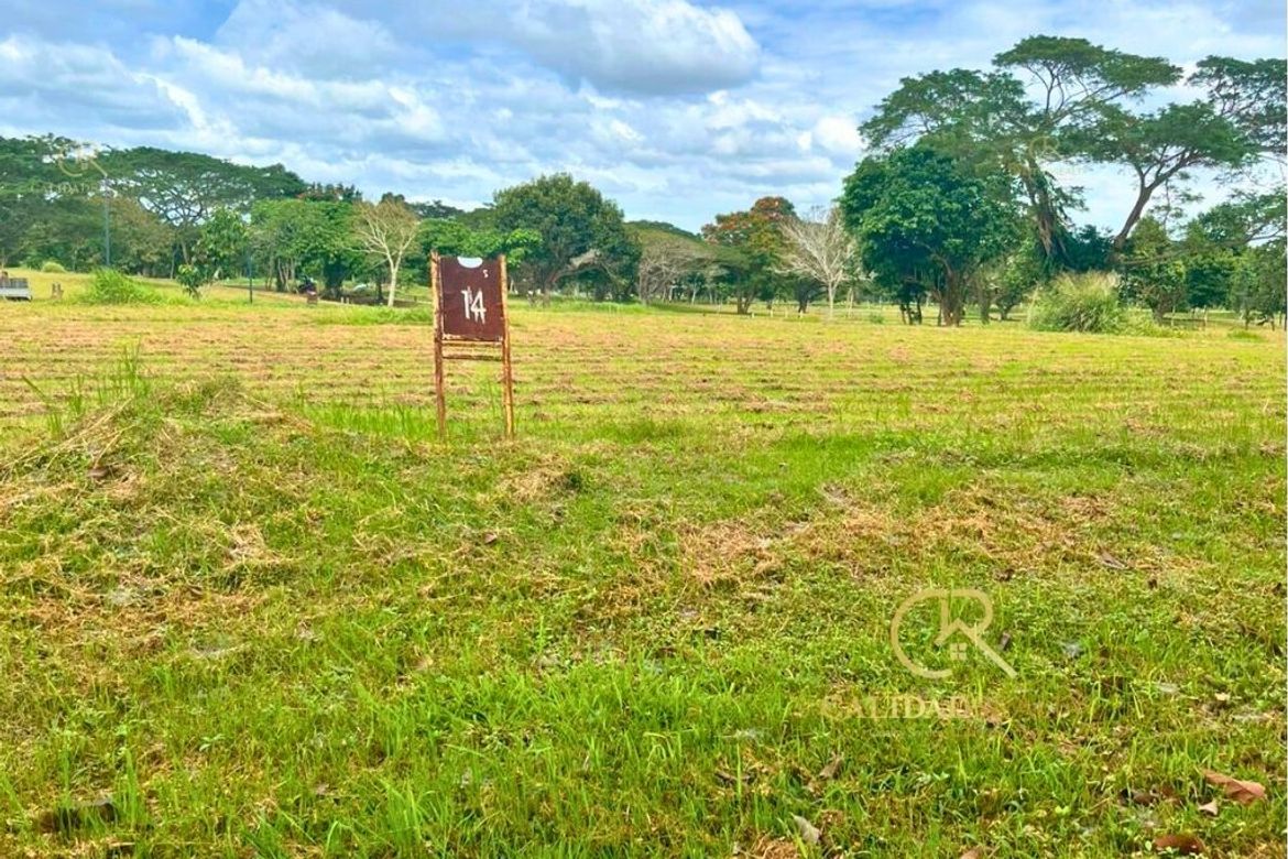 Land for Sale in Canlubang, Calamba, Laguna