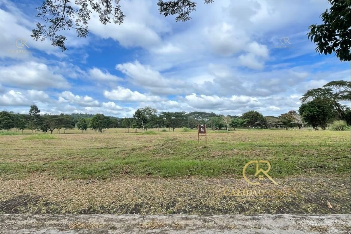 Land for Sale in Canlubang, Calamba, Laguna – photo 2