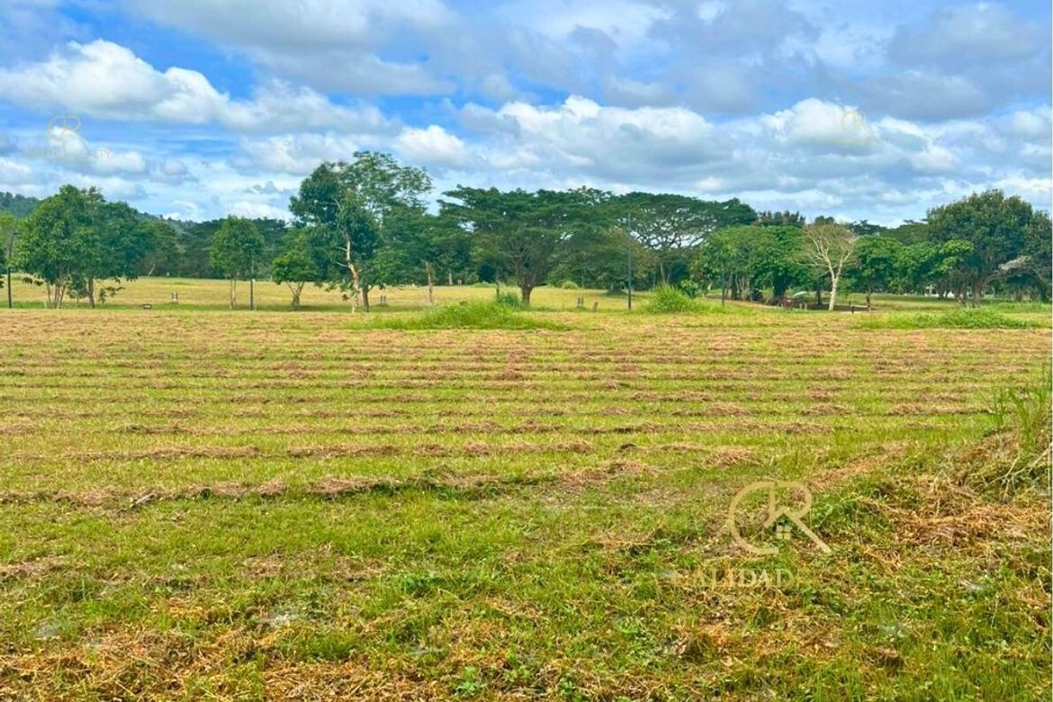Land for Sale in Canlubang, Calamba, Laguna – photo 3