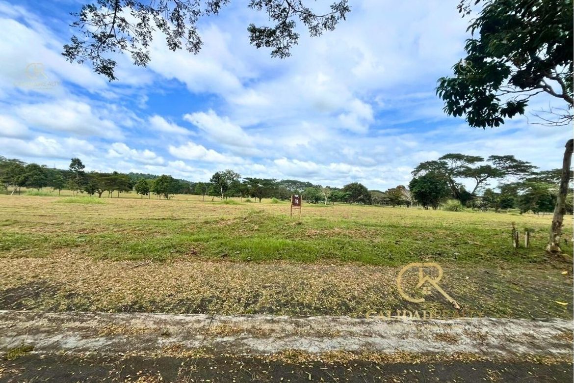 Land for Sale in Canlubang, Calamba, Laguna – photo 6