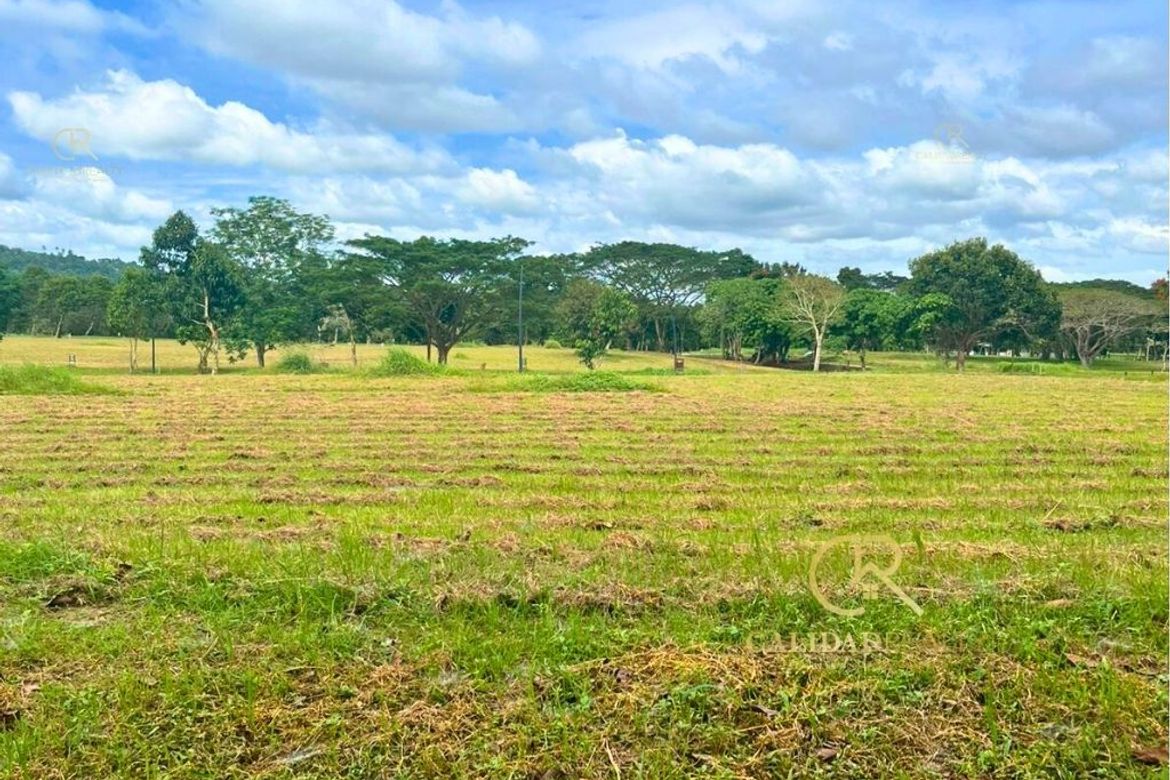 Land for Sale in Canlubang, Calamba, Laguna – photo 8
