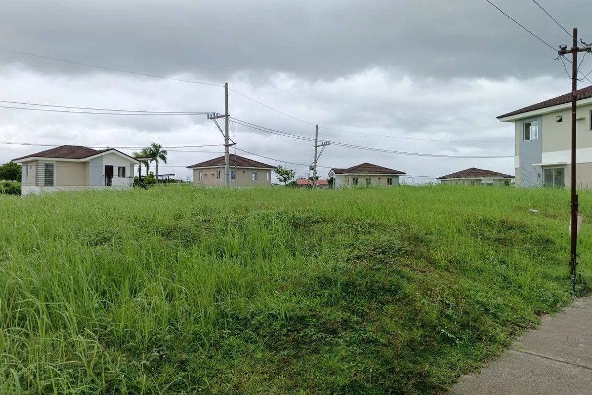 Land for Sale in Canlubang, Calamba, Laguna – photo 3