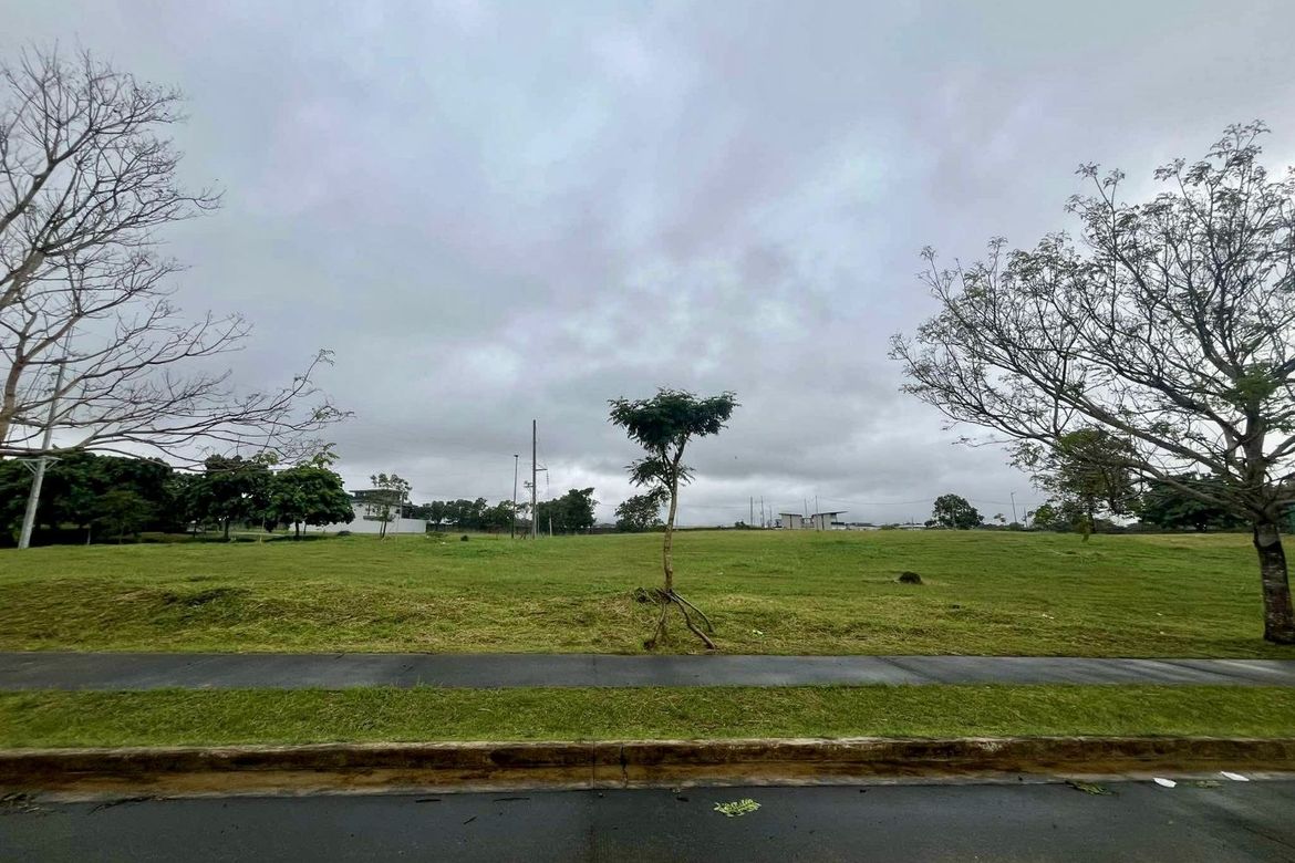 Land for Sale in Canlubang, Calamba, Laguna – photo 2