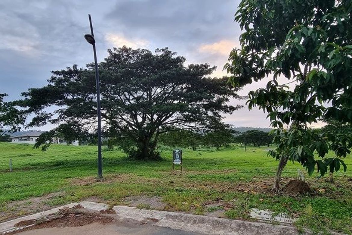Land for Sale in Canlubang, Calamba, Laguna