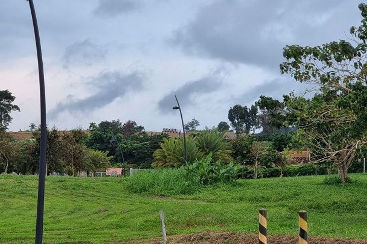 Land for Sale in Canlubang, Calamba, Laguna – photo 2