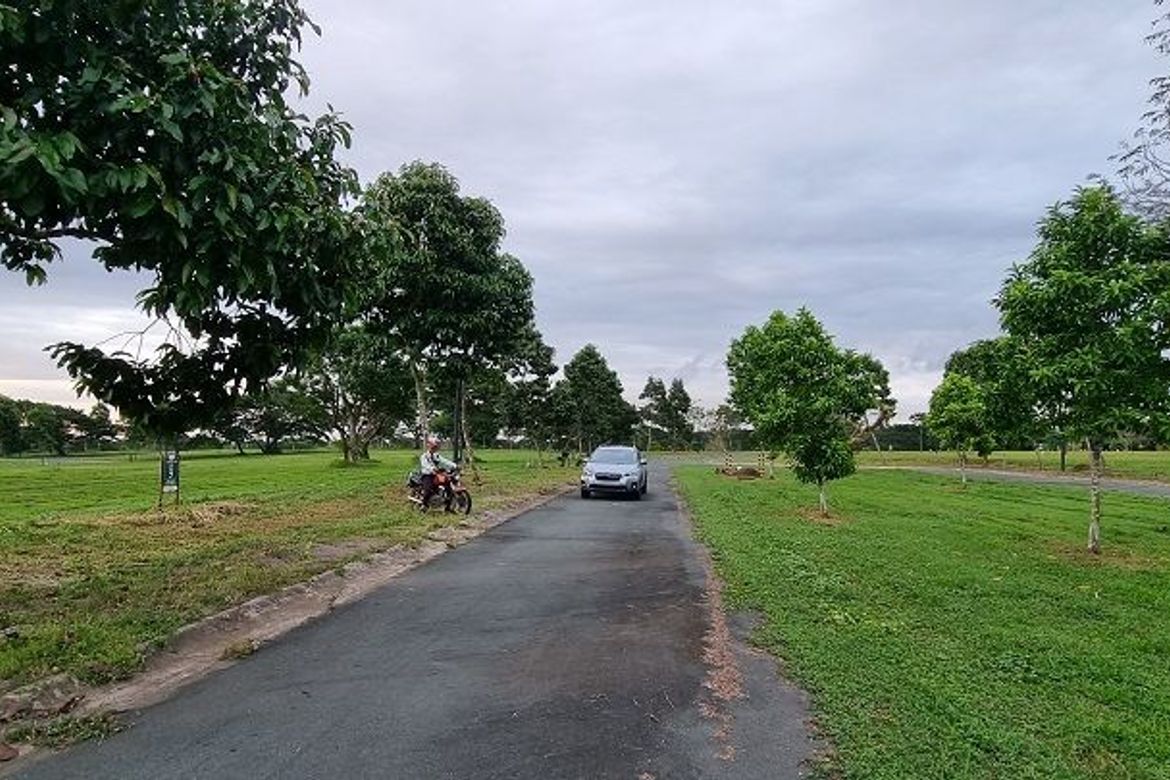 Land for Sale in Canlubang, Calamba, Laguna – photo 4