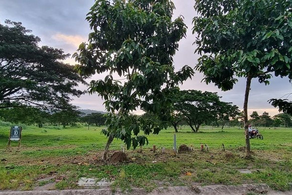 Land for Sale in Canlubang, Calamba, Laguna – photo 5
