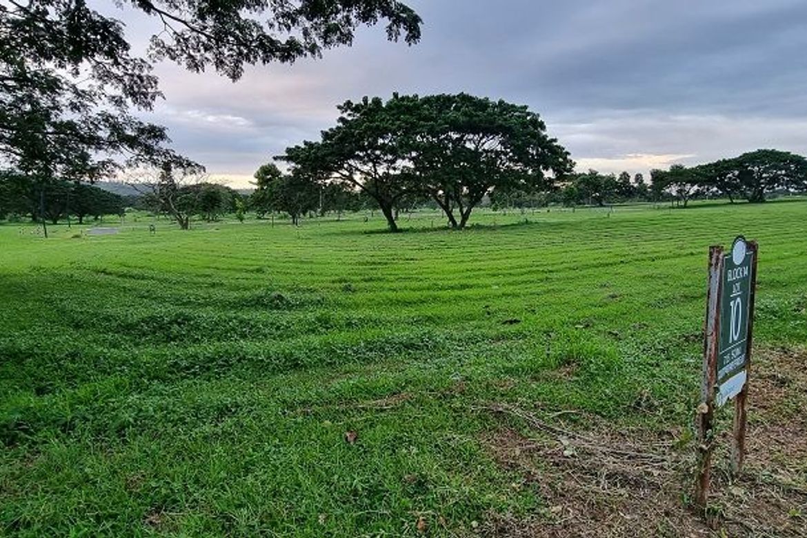 Land for Sale in Canlubang, Calamba, Laguna – photo 7