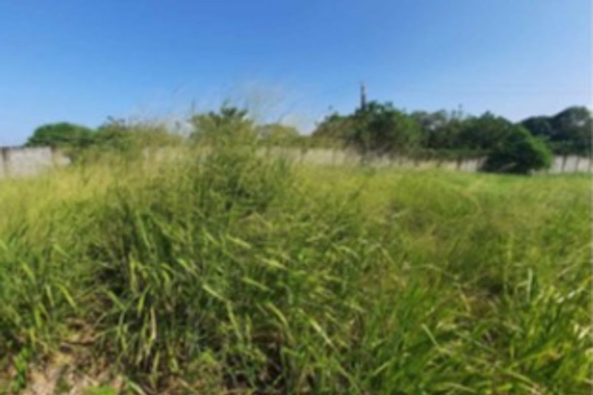 Land for Sale in Canlubang, Calamba, Laguna