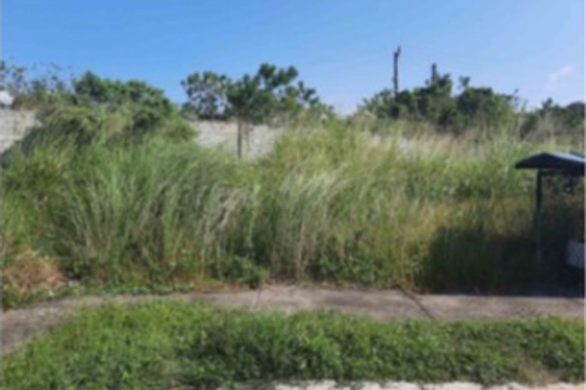 Land for Sale in Canlubang, Calamba, Laguna – photo 2