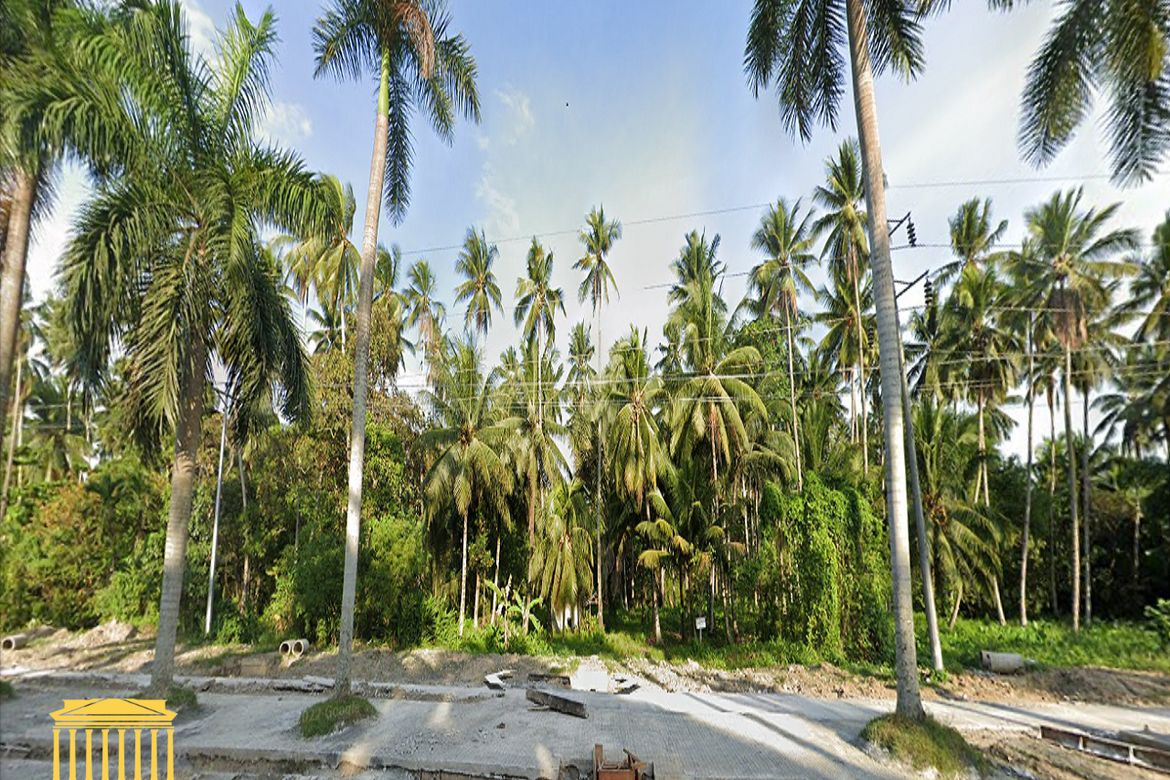 Land for Sale in Canocotan, Tagum, Davao del Norte – photo 3