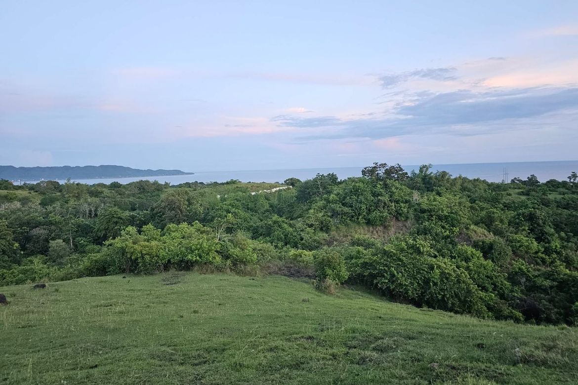 Land for Sale in Cansiwang, Guindulman, Bohol