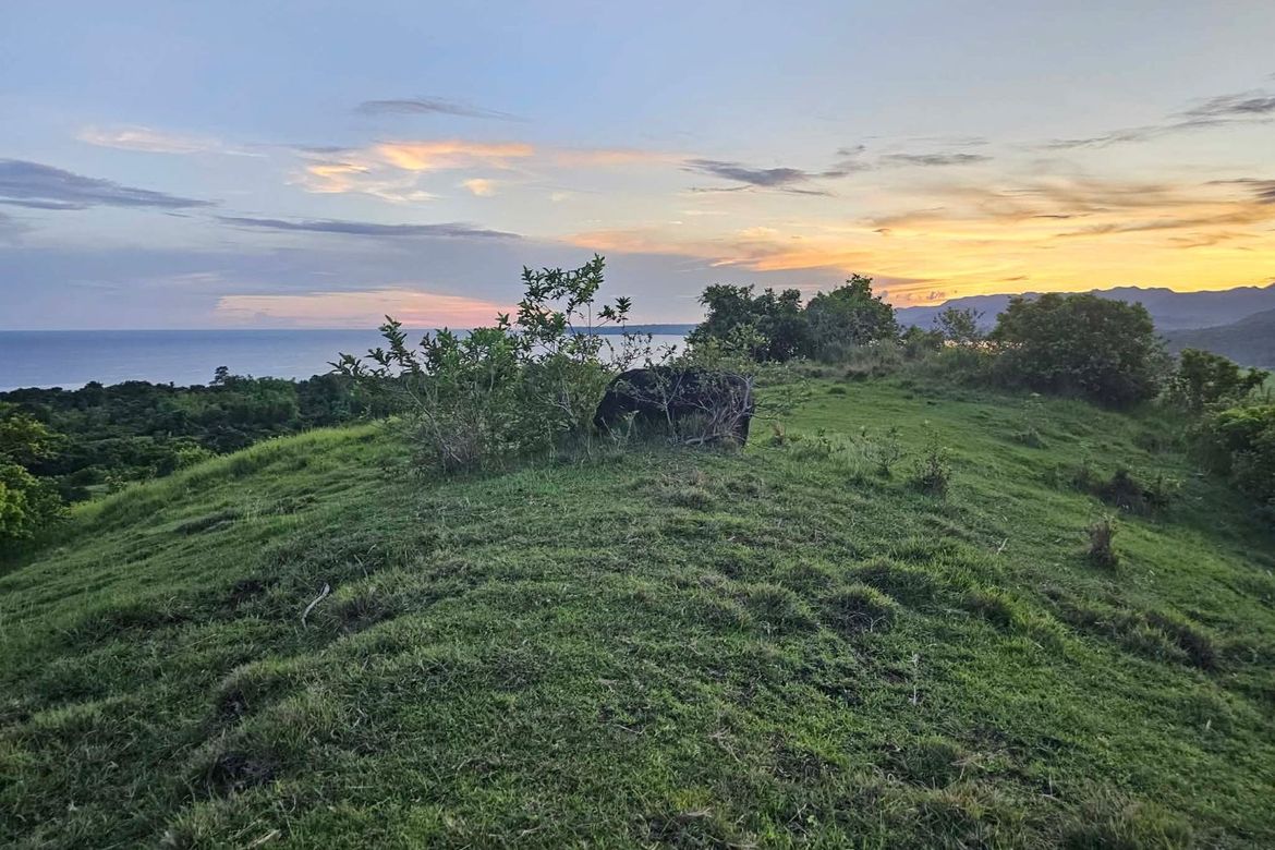 Land for Sale in Cansiwang, Guindulman, Bohol – photo 6