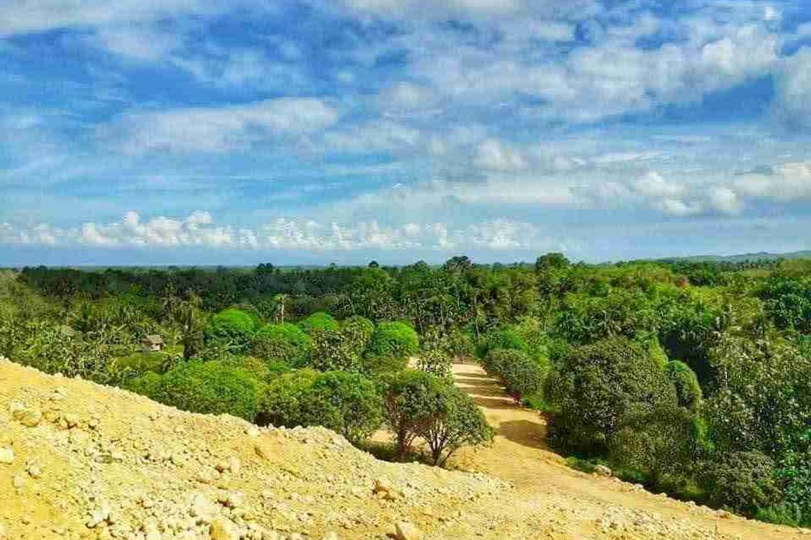 Land for Sale in Cansomoroy, Balamban, Cebu