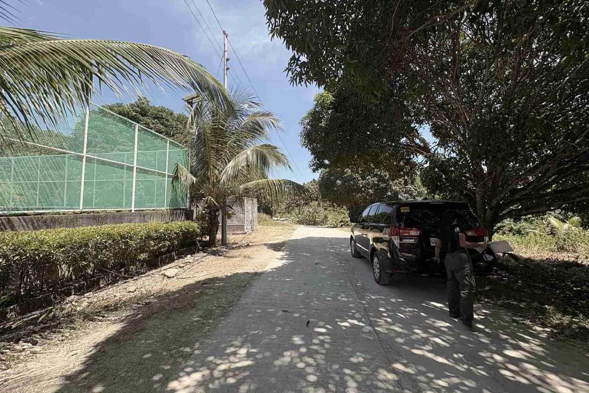 Land for Sale in Cansomoroy, Balamban, Cebu – photo 6