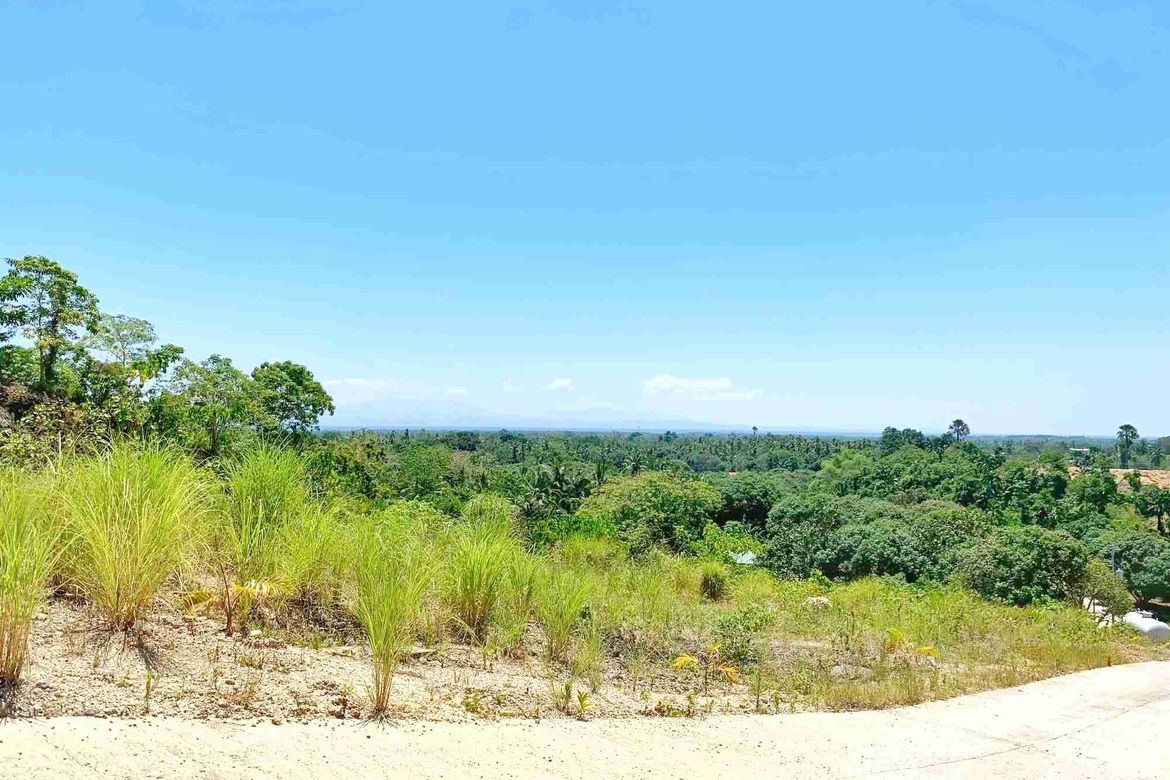 Land for Sale in Cansomoroy, Balamban, Cebu – photo 7