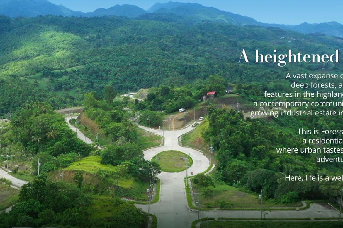 Land for Sale in Cansomoroy, Balamban, Cebu – photo 6