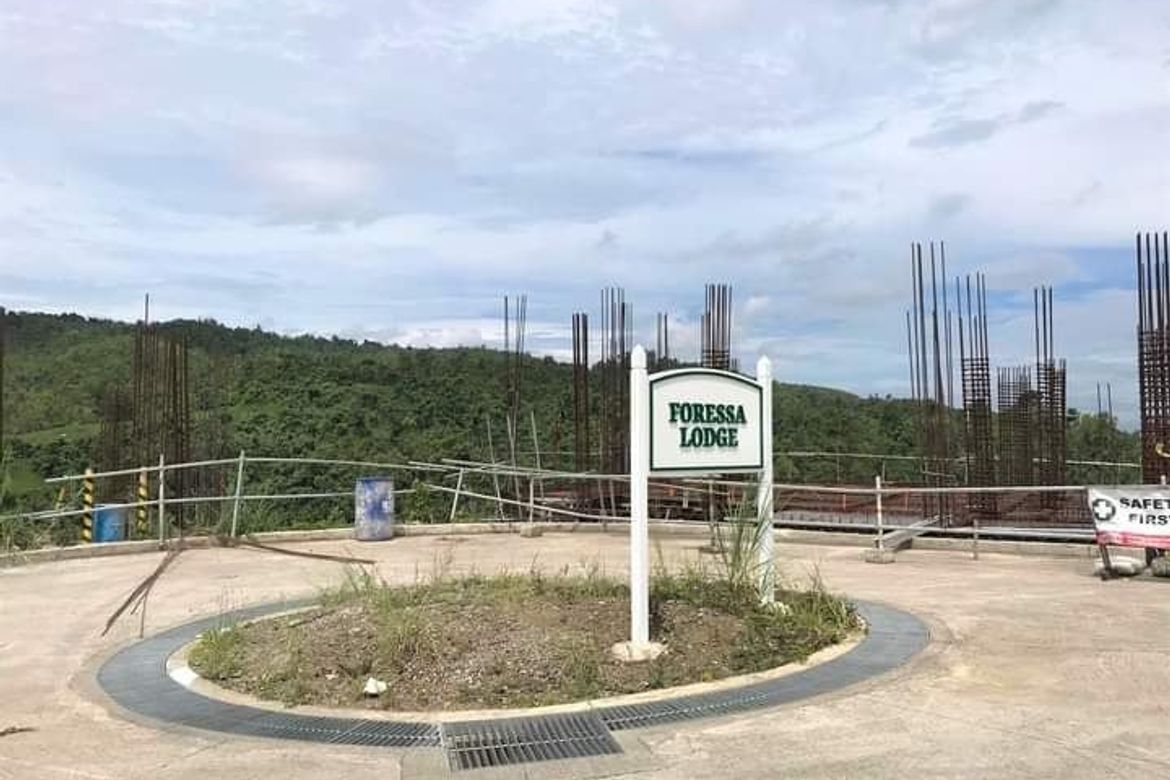 Land for Sale in Cansomoroy, Balamban, Cebu – photo 2