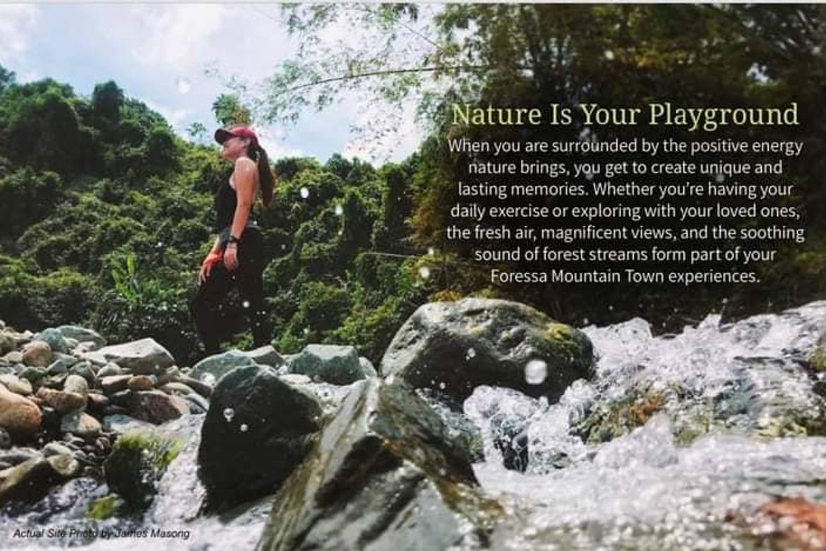 Land for Sale in Cansomoroy, Balamban, Cebu – photo 5
