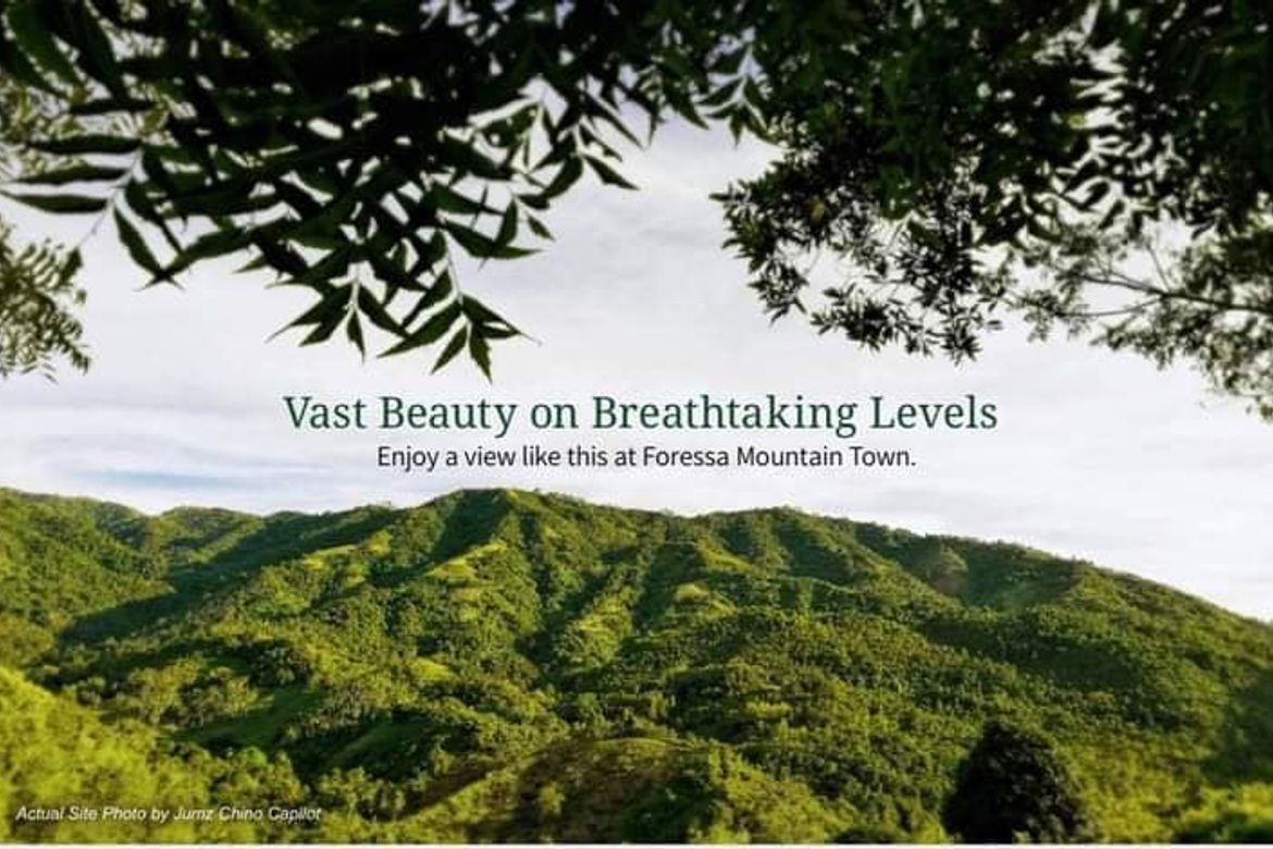 Land for Sale in Cansomoroy, Balamban, Cebu – photo 6