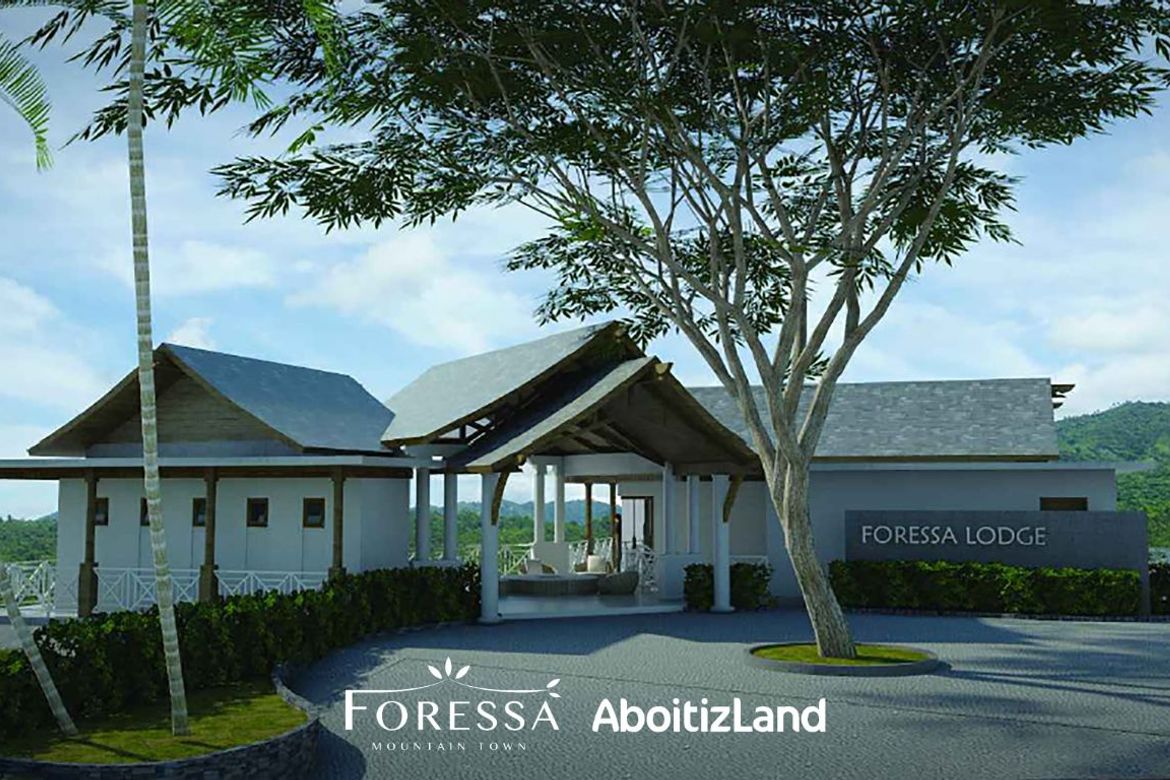 Land for Sale in Cansomoroy, Balamban, Cebu – photo 2