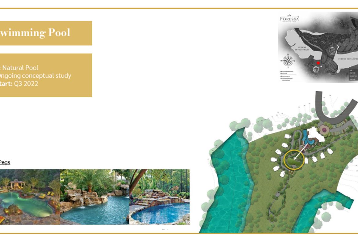 Land for Sale in Cansomoroy, Balamban, Cebu – photo 3