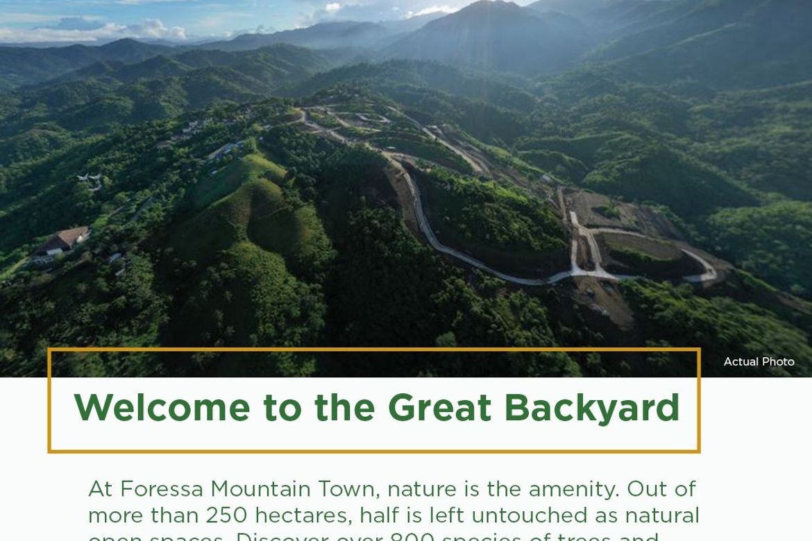 Land for Sale in Cansomoroy, Balamban, Cebu – photo 7