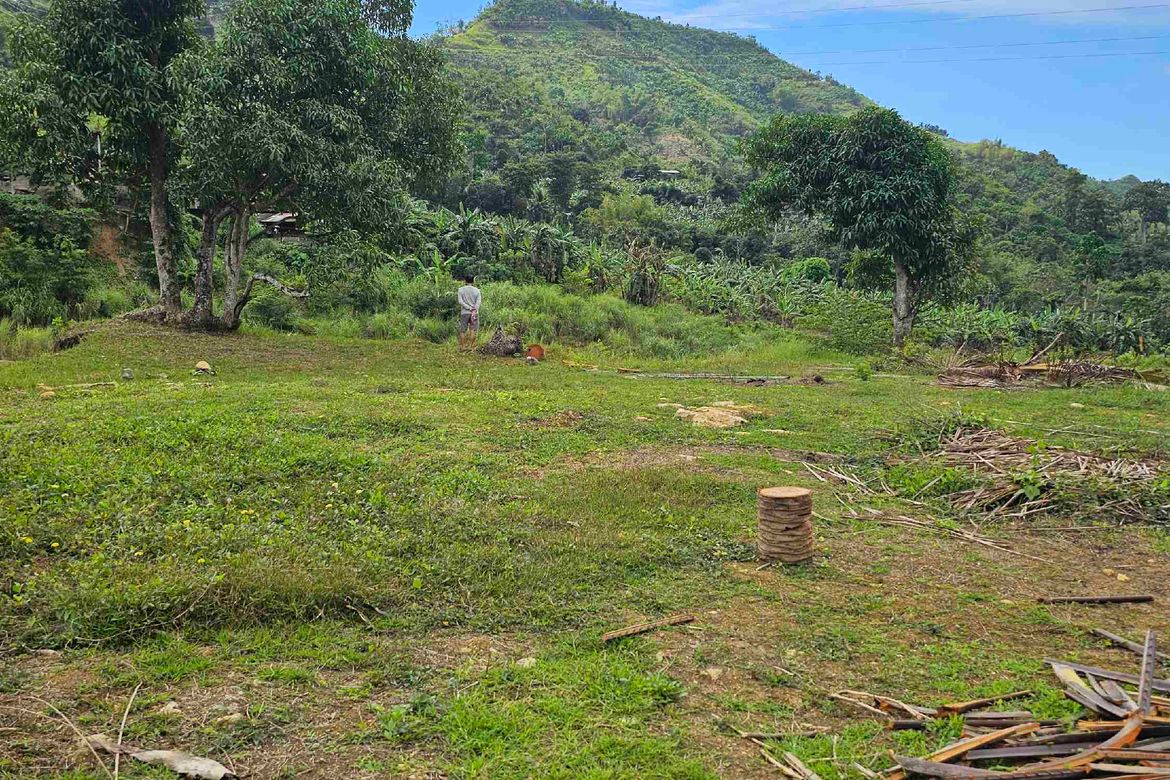 Land for Sale in Cantao-An, Naga, Cebu – photo 3