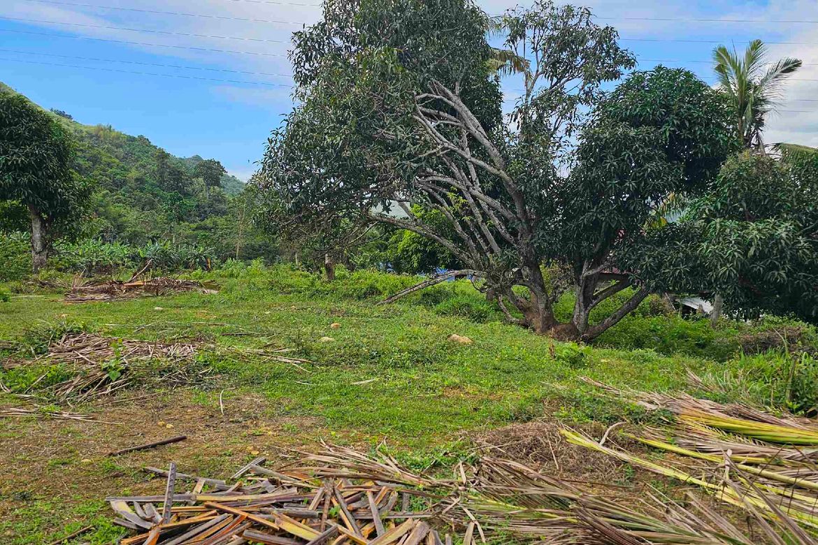 Land for Sale in Cantao-An, Naga, Cebu – photo 4